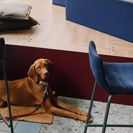 Hotel 21 House Of Stories Navigli Mailand