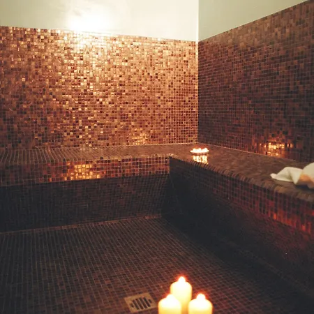 Grand Visconti Palace