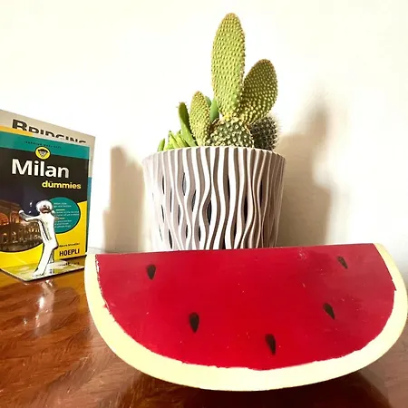 Minu'- Elegant Loft In Certosa Daire