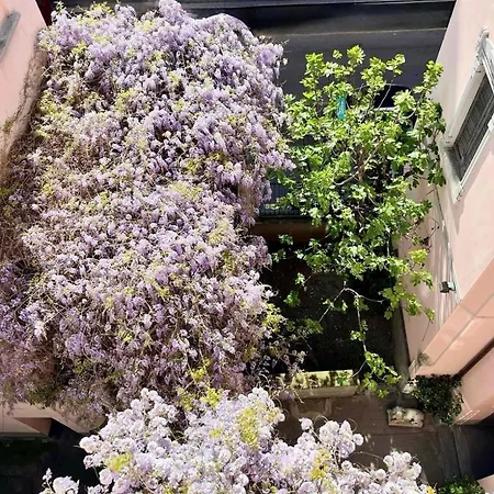 Blue Rain - Design 밀라노