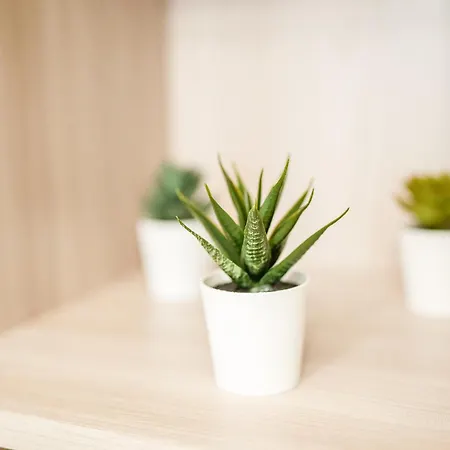 Certosa Charm - Private Parking By Innstay Apartmán *