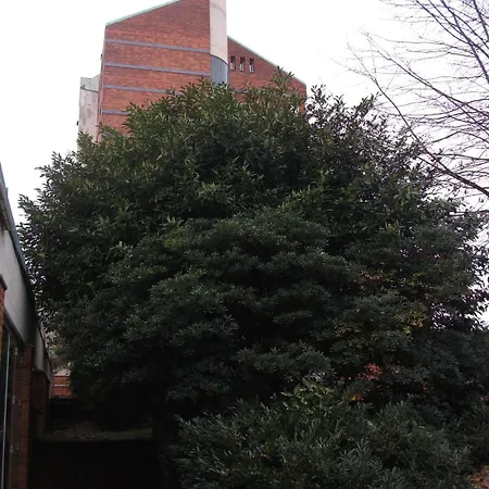 아파트호텔 Siloe