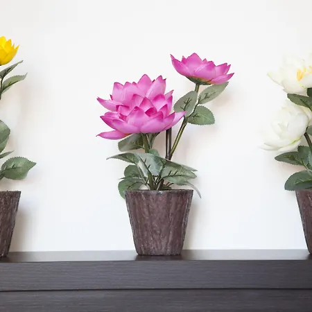 Poma Ξενοδοχείο