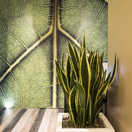 Maison d'hôtes Serendipity