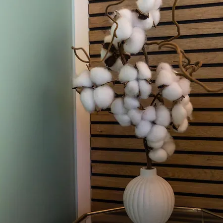 Younique Boutique Pensión