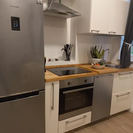 Elegant And Modern Two-room With Equipped Kitchen Apartment