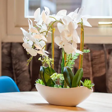 Duomo House - Center With Magnificent Terrace *