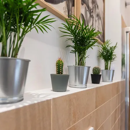 Ds - Centro Apartament