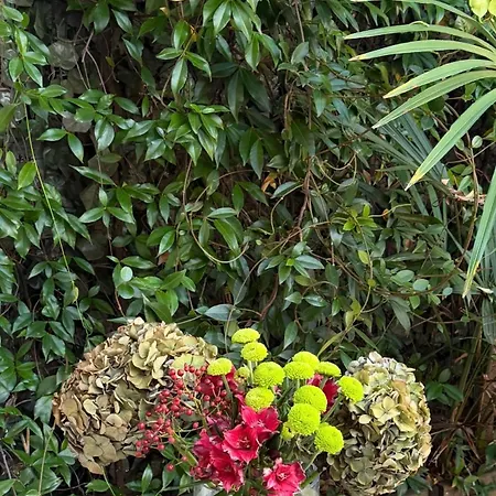Flowers Μιλάνο