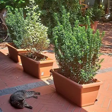 Bilocale Filomena Abbadesse