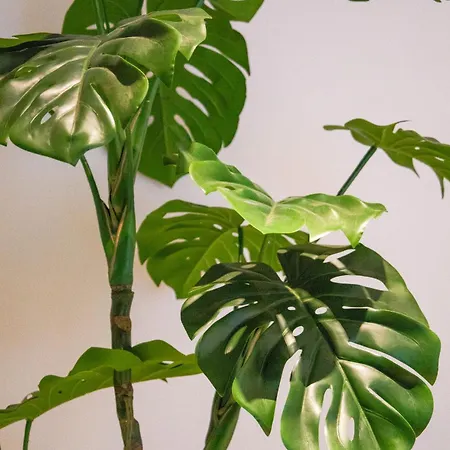 Navigli - Leobrothers - Alzaia Naviglio Pavese 8 3*