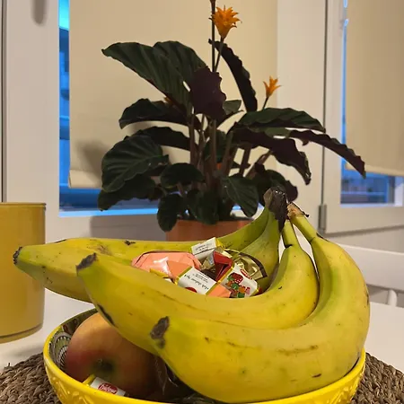 Casa Bibi *
