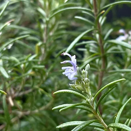 The Collector's - Private Terrace On Navigli 아파트