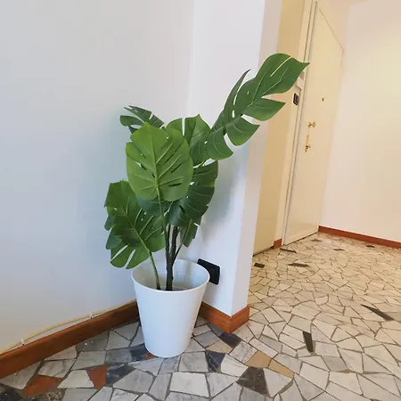 Primopiano - Corsica Apartment *