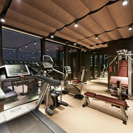 فندق ستارهوتيلز إيشو