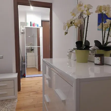 Loft Moderno Zona 8 Daire