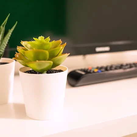 Blocco Sauli Pensión 3*