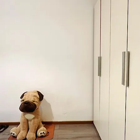 Homestay szállás Muse Milánó