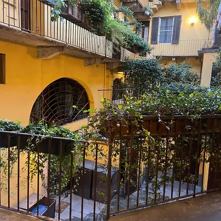 Elena S Navigli