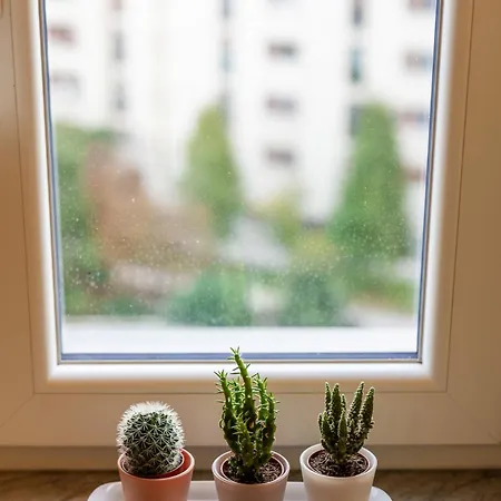 Διαμέρισμα Sesto Sole - Wide 6th Floor - Near Prada-bocconi-ieo Μιλάνο