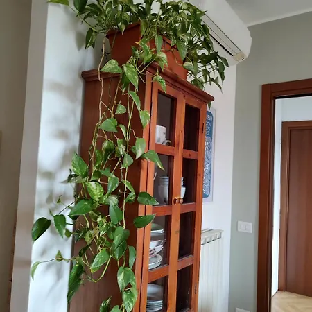 Veronica's アパート *