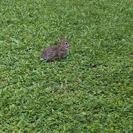 Luxury - Zen Urban Retreat *