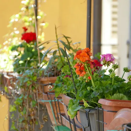 Nonna Nilla, A Large And Cozy Flat In Porta Venezia Апартаменты Милан