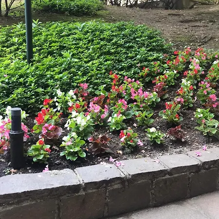 Bwr - Near Mico, Alberti *