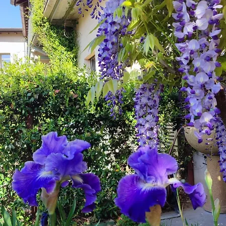Проживание в семье Cascina Storica Con Giardino - Vicino A Stazione