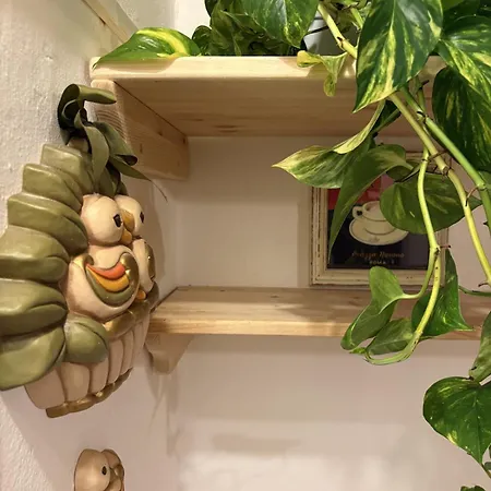 公寓 La Casetta, Charming Loft, Downtown