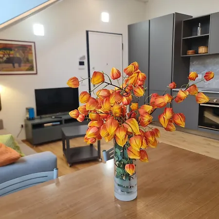 Apartment Liberty Domus Vic *