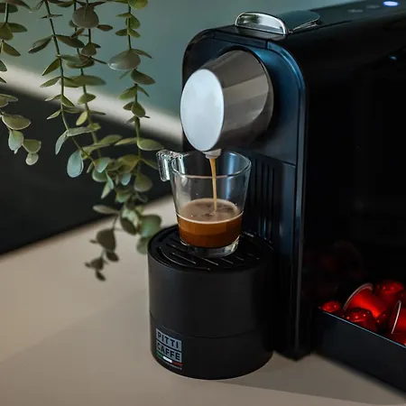 The Leaf - Arco Della Pace