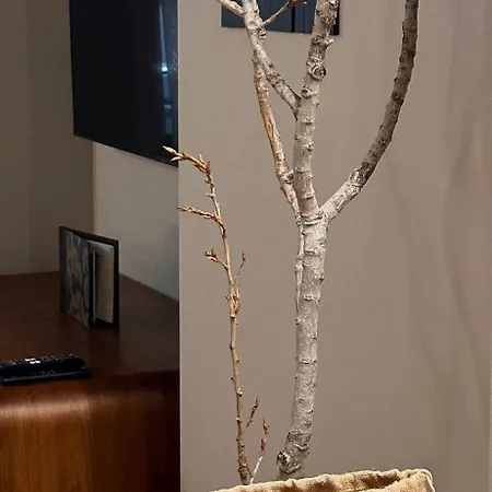 Boutique Borgo Nuovo Hotell Milano