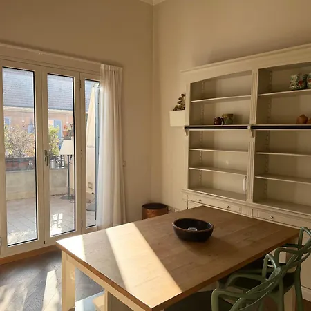 Urban Jungle 8 - Risorgimento *