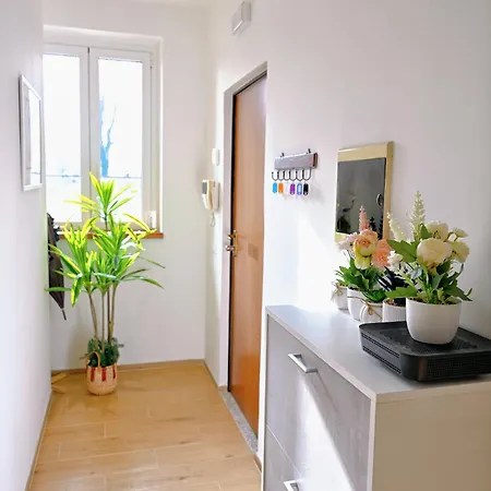 Appartamento Casa Arena Santa Giulia Olympic Venue Free Wifi *