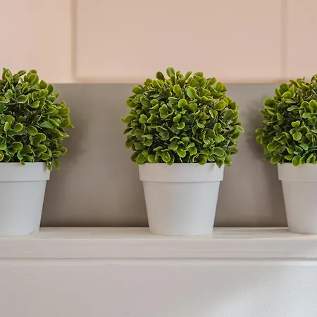 Guest Planet - Arco Della Pace *