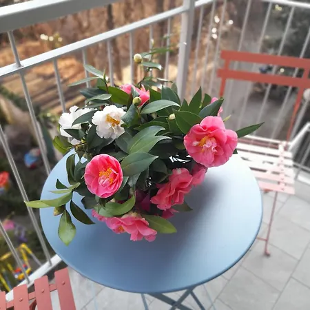 Appartement Emotion 20 E Sei A Casa In Centro! Milaan