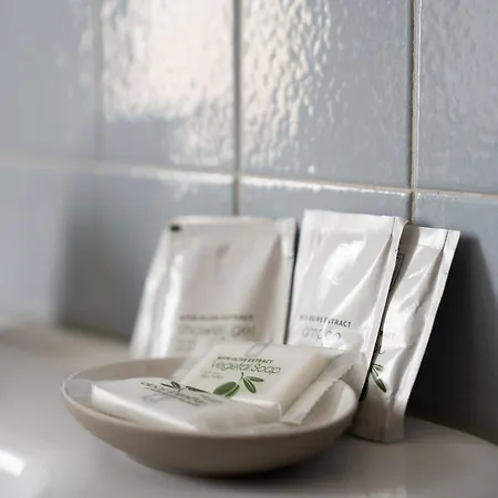 公寓 The Rosmini *