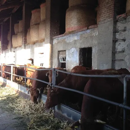 Cascina Battivacco *