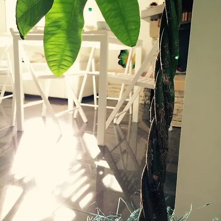 לינה וארוחת בוקר Excellent Apartment In The Center Of Milan 3*