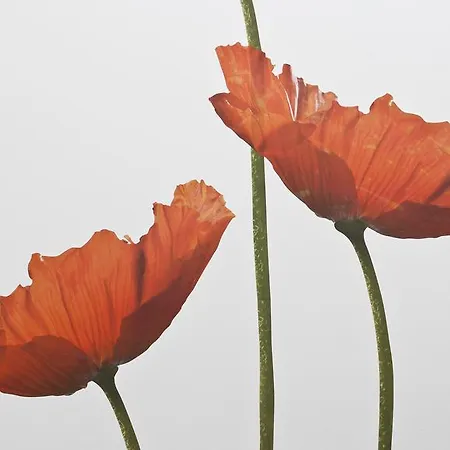 Italianway Easy - Naviglio Pavese 20