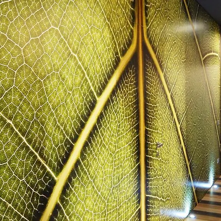 Guest house Serendipity Milan