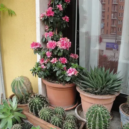 Via Sebino Apartment Milan