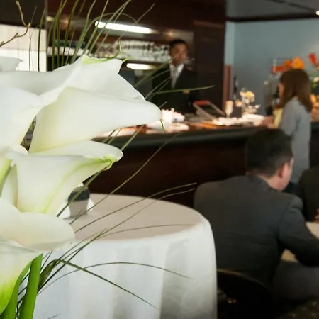 فندق Michelangelo