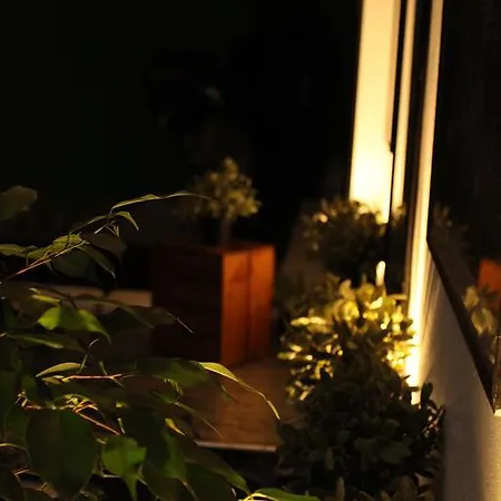 Apartment Delle Star *