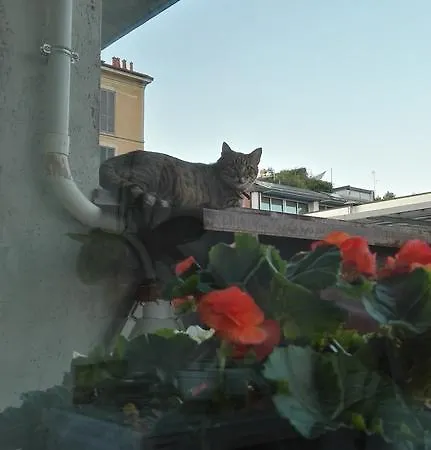 Design Konukevi Milano