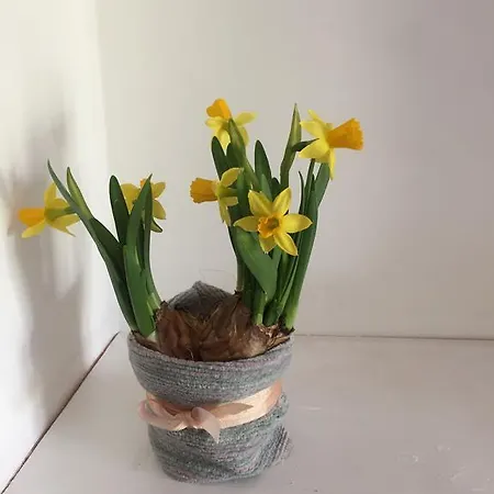 Lejlighed Volta In Brera