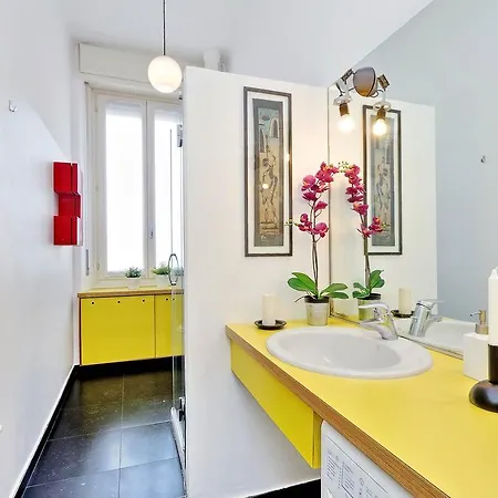 Joivy Colorful For 2 Near Life