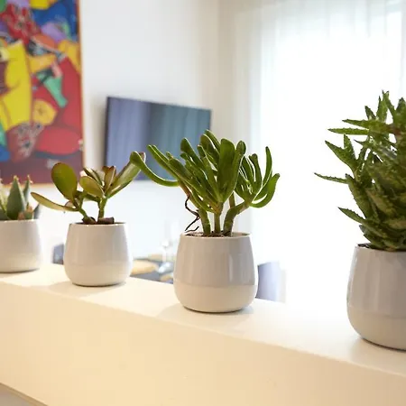 Porta Romana Appartement Milaan