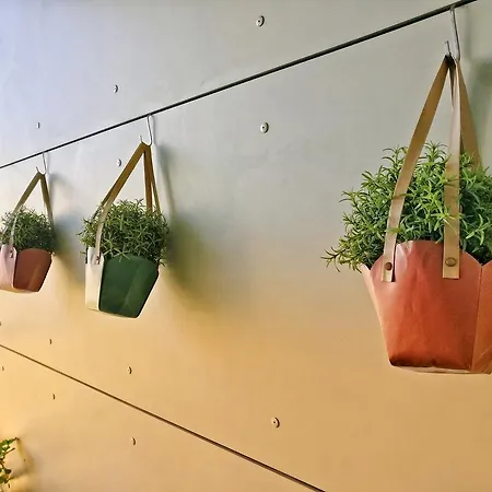 Apartament Gassman - In